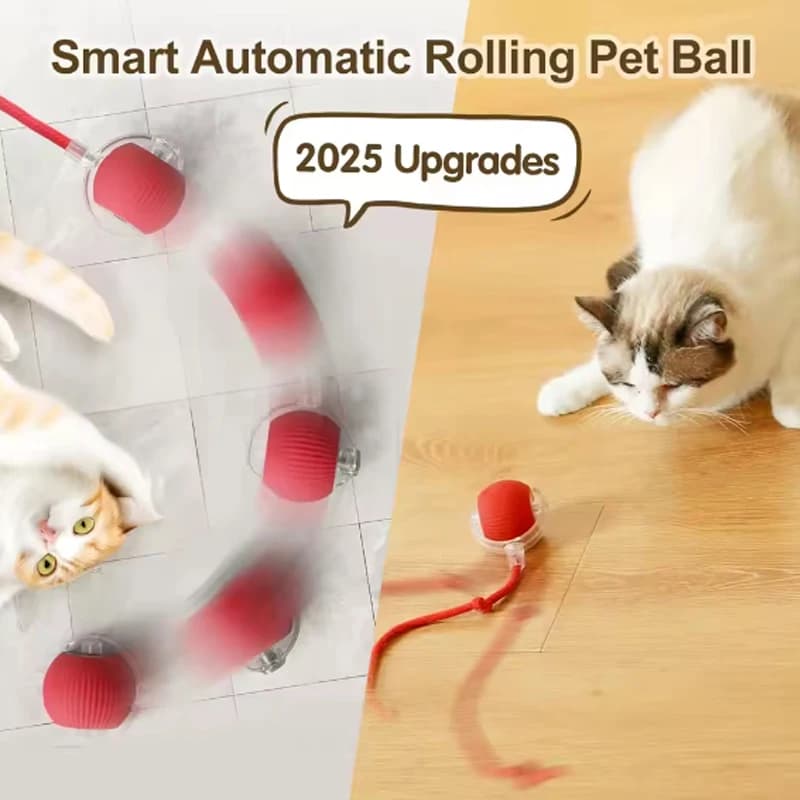 Cat Toy with Durable Automatic Chase Ball with Fast Coil, Interactive Fun for Indoor Cats, Red