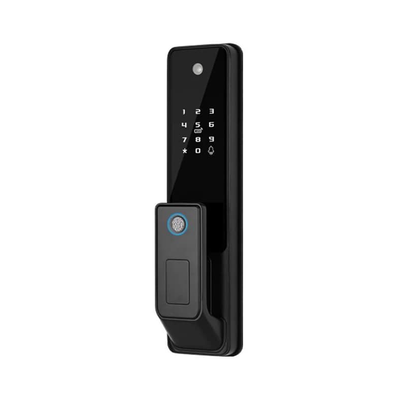 Serratura intelligente Cat's Eye di vendita calda con impronta digitale WiFi e maniglia per fotocamera Serrature elettroniche con funzioni intelligenti
