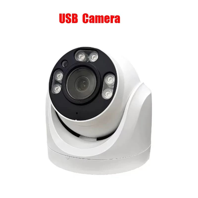 24 IR Led Intelligent Detection videoregistratore Coperta Infrarossi Night Tf Vision DVR Telecamera di sicurezza della cupola di ir macchina fotografica del USB IR