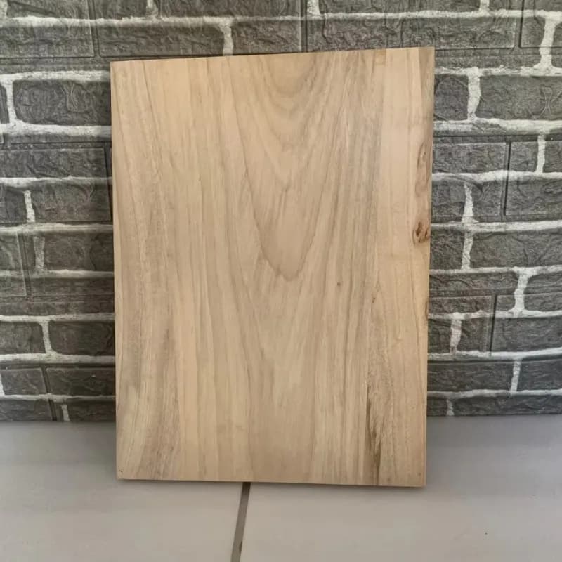 Tagliere rettangolare per preservativo di frutta e sushi in legno di canfora