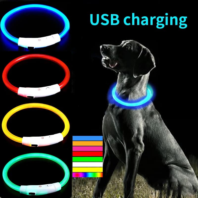Collare in fibra ottica LED ricaricabile tramite USB per animali domestici Collare luminoso anti-smarrimento per cani