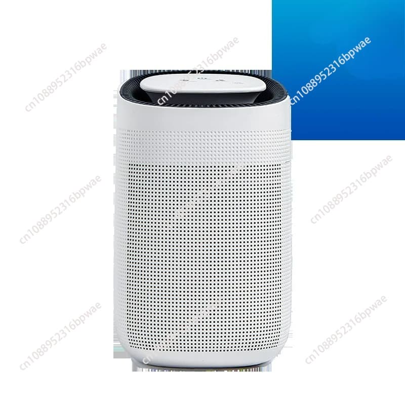 Deumidificatore per purificazione dell'aria Deumidificatore domestico Mini piccolo deumidificatore