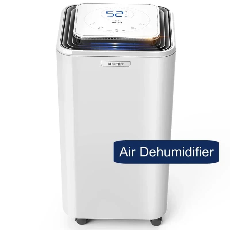 Nuovo deumidificatore efficiente da 23 litri/giorno Asciugatrice per la camera da letto di casa Deumidificatore a basso rumore Asciugatrice commerciale ad assorbimento ad alta potenza