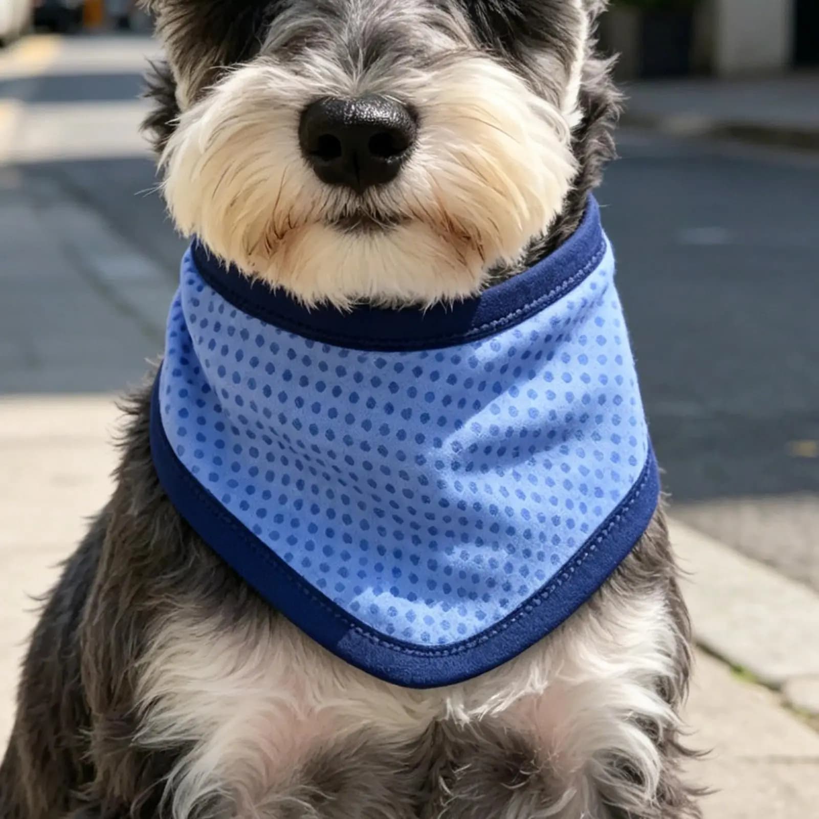 M/L Adjustable Dog Cooling Collar for Summer, Breathable Pet Neck Bandana Cooler, Reusable Puppy Cooling Scarf for Outdoor Walk