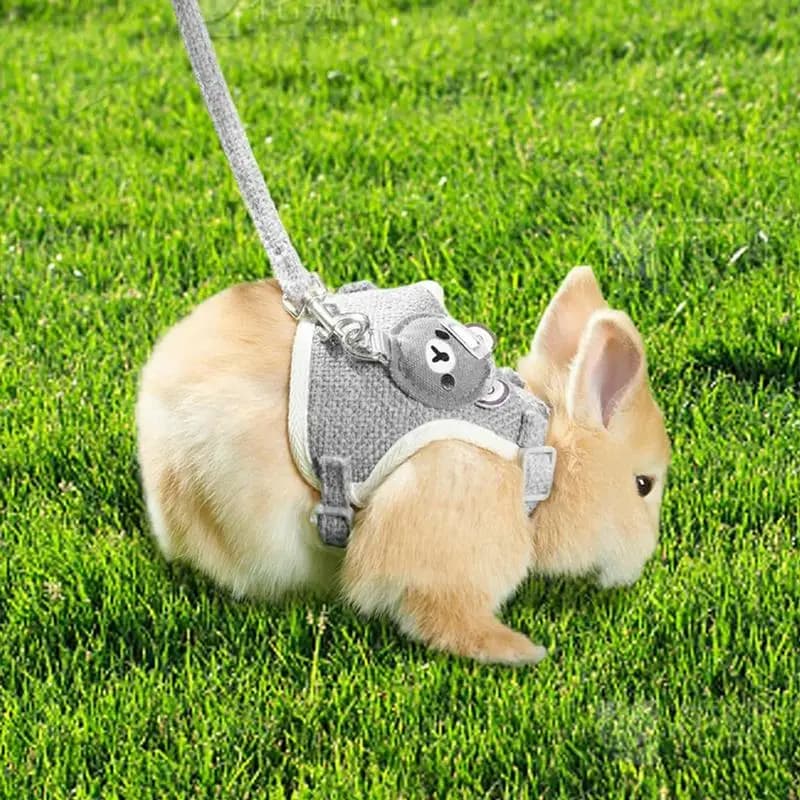 Bella piccola pettorina per animali domestici cinghia toracica corda di trazione per cani da passeggio cane gatto coniglietto gilet imbracatura guinzaglio da passeggio regolabile accessori