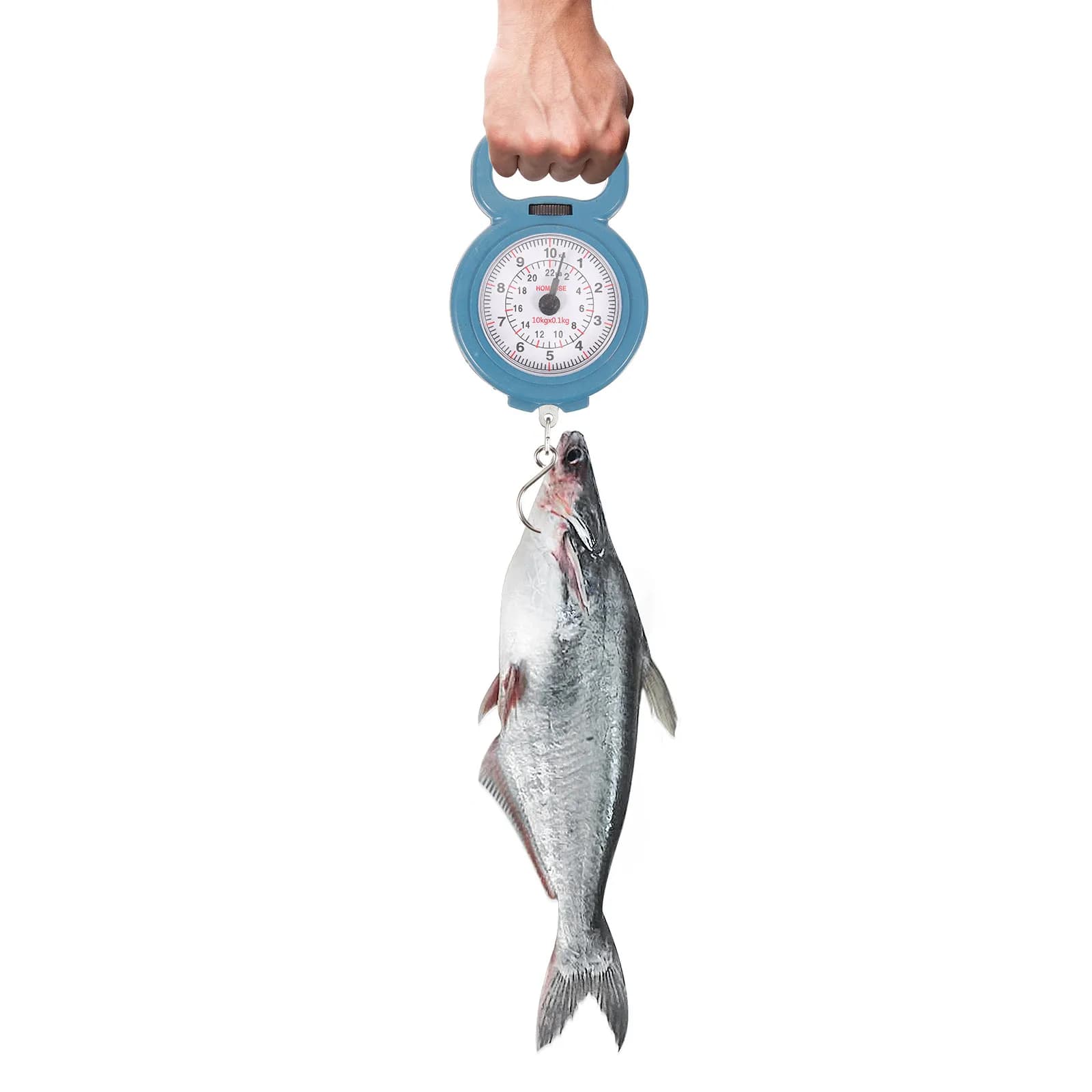 Bilancia Digitale Portatile a Molla da 10 kg, Piccola Bilancia a Sospensione per Bagagli, Peso Corporeo, Frutta, Viaggi, Pesca e Cucina
