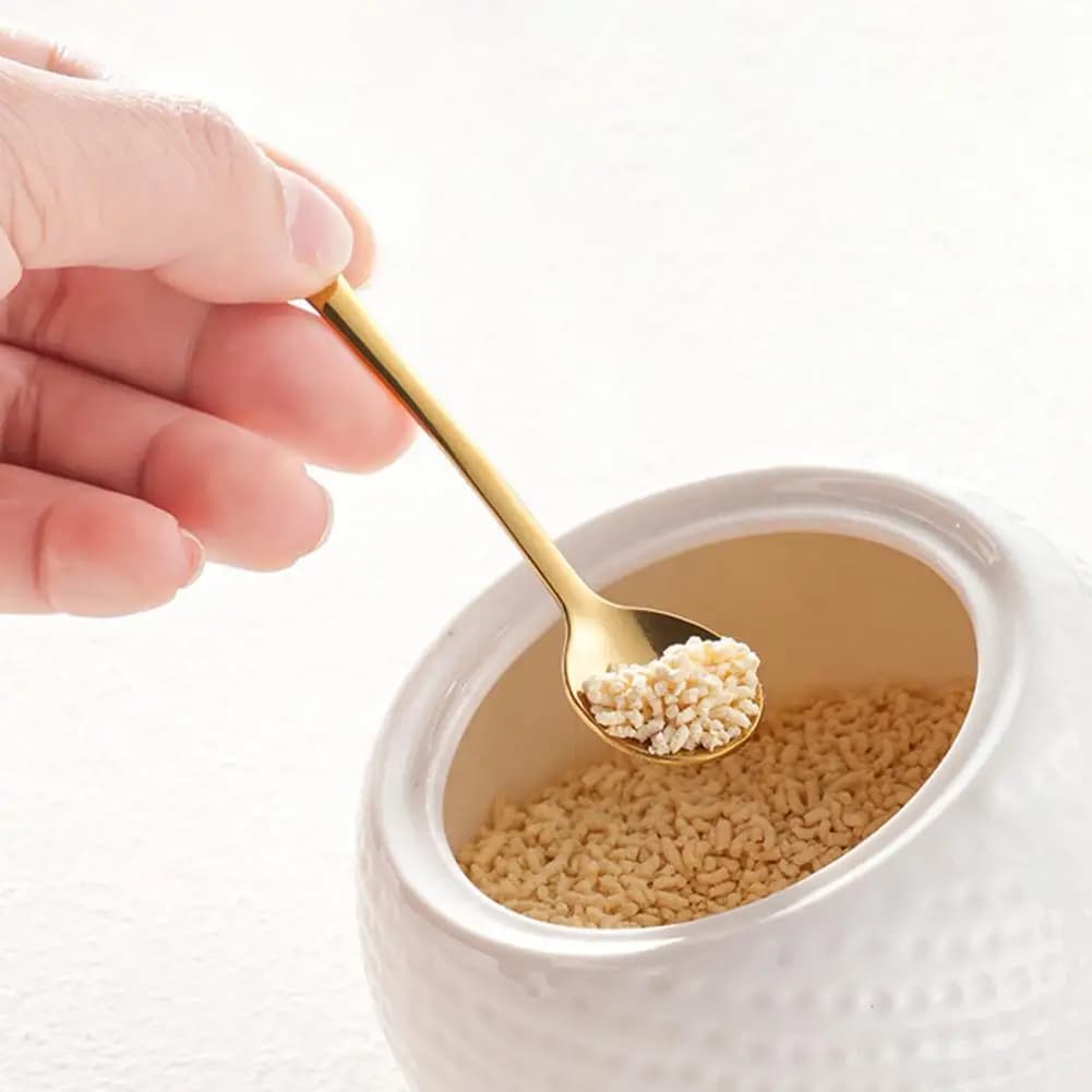 Mini cucchiai compatti Set di 6 mini cucchiai in acciaio inossidabile per barattoli di sale e spezie Cucchiaio per condimenti portatile per polvere per condimenti