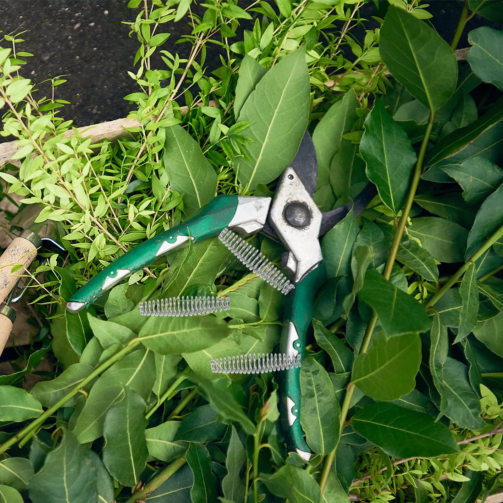 10 Pezzi Molle di Ricambio in Acciaio Inossidabile per Forbici da Potatura, Ricambi per Cesoie da Giardino e Forbici da Taglio