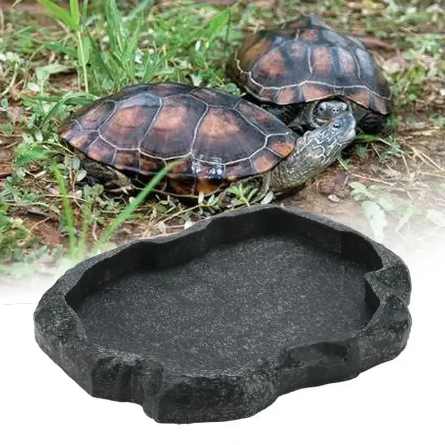 Ciotola per animali domestici ciotola per mangiatoia per animali domestici cingolata resina per alimenti Non tossici pentola per acqua rettile tartaruga scorpione lucertola strumento per ciotola di granchio