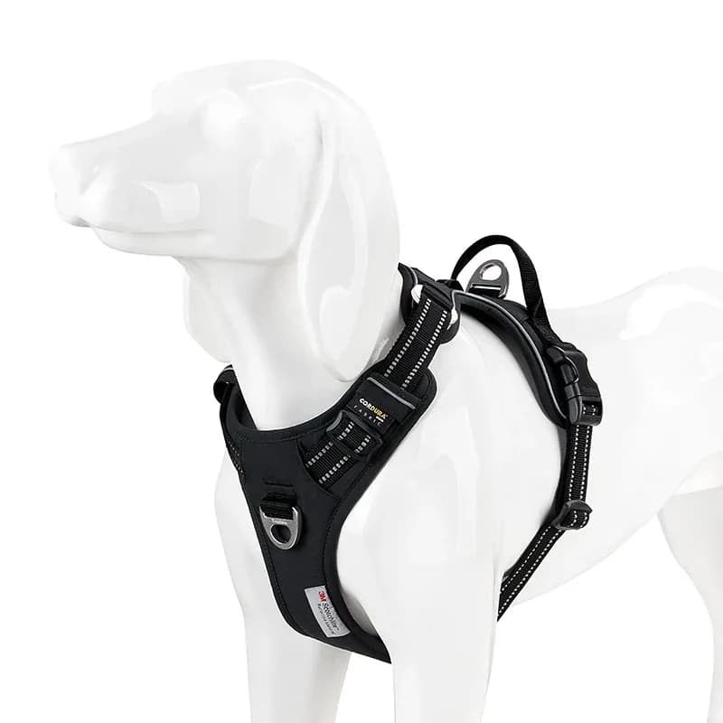 Pettorina per Cani TRUE LOVE TLH5654, Senza Tiranti, in Nylon Riflettente, Regolabile, Comoda e Facile da Indossare