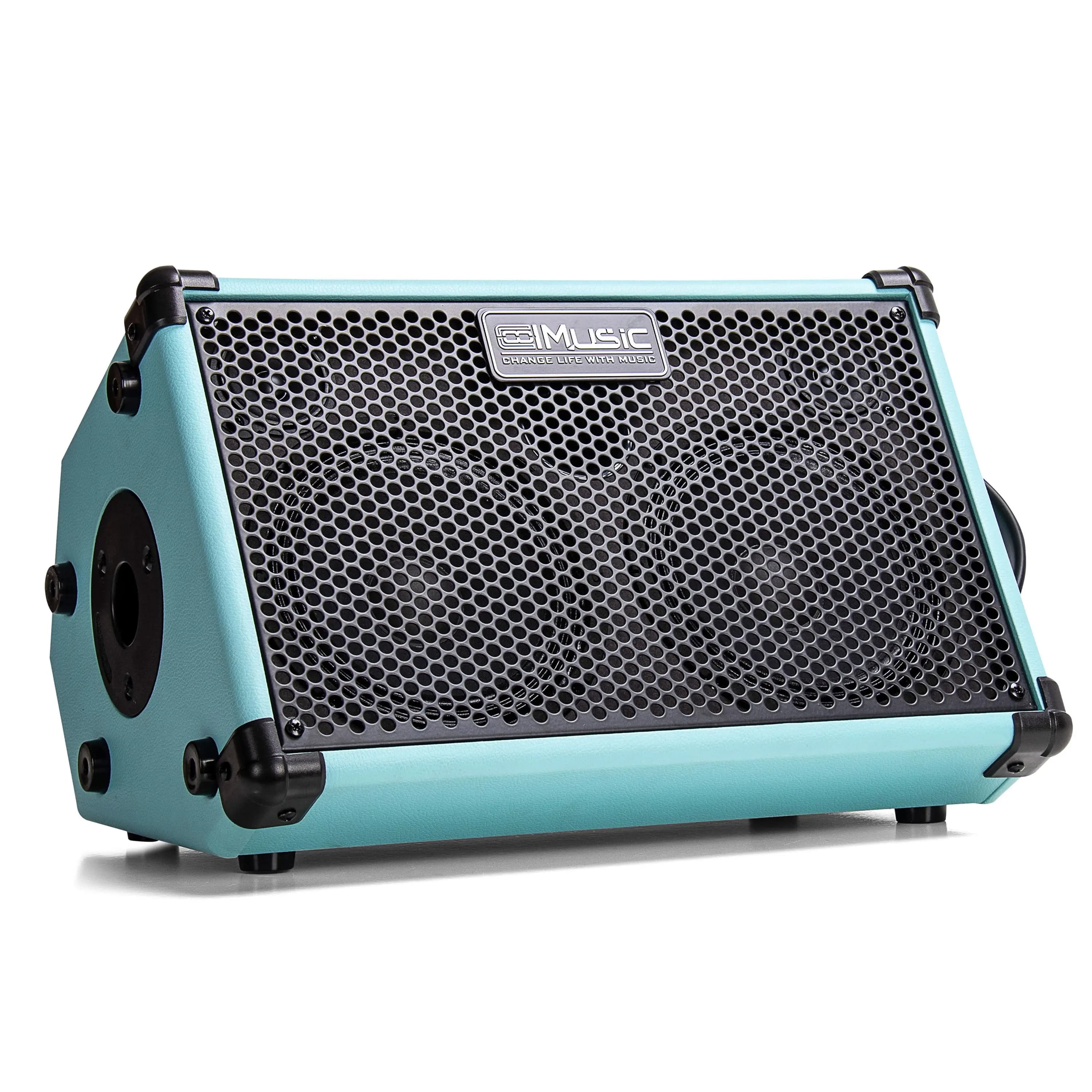 Coolmusic-amplificatore per chitarra acustica alimentato a batteria, Ukelele, altoparlante intelligente portatile da esterno con microfono, ricaricabile, 80W