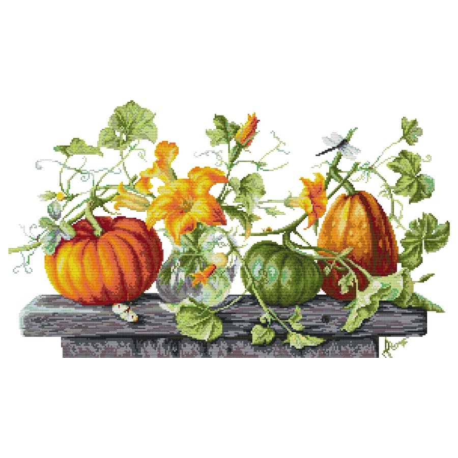 Joy Sunday Kit punto croce zucca modelli punto croce Kit ricamo stampa tessuto punto croce Kit ricamo