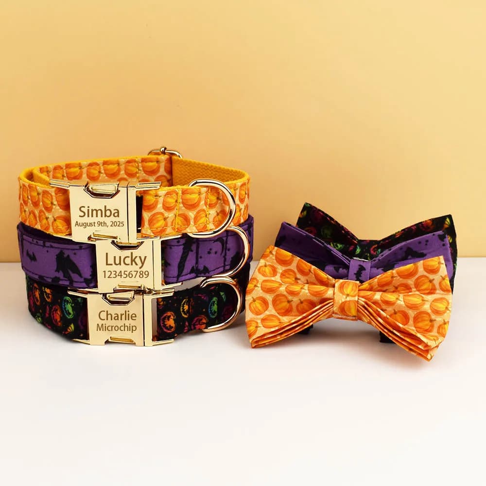 Collare per Cani Regolabile di Halloween con Targhetta ID Incisa per Cani Piccoli, Medi e Grandi, Set Guinzaglio Personalizzato con Nome per Cuccioli
