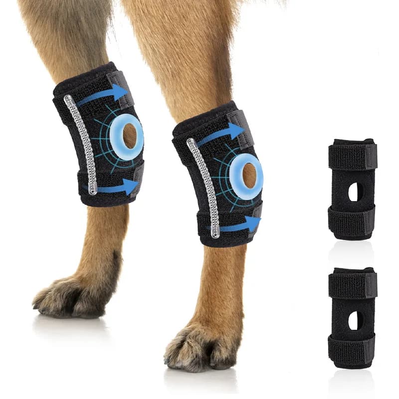 Protezione per Zampe di Cani, Protezione Articolare, Protezione Ginocchio, Protezione Rotula, Ausilio per la Riabilitazione, Distorsione Legamentosa Articolare