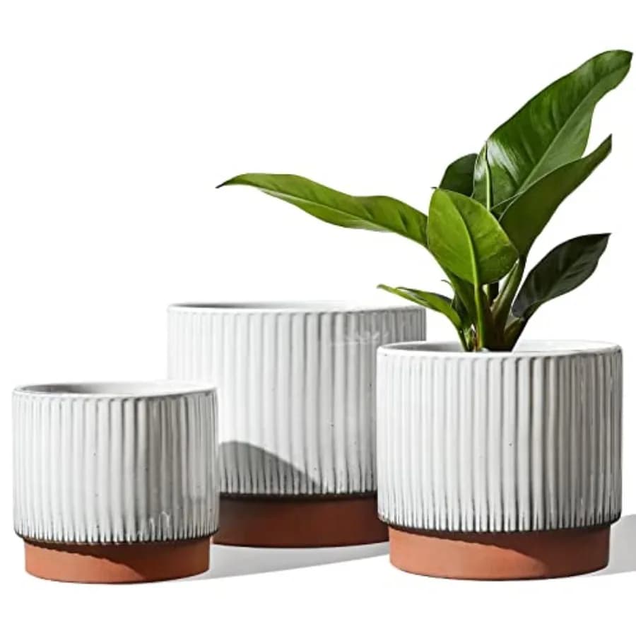 Vasi in Ceramica per Piante, Set 8+6.7+5.5 Pollici, Vasi per Interni con Fori di Drenaggio, Fioriere Cilindriche Medie per Interni