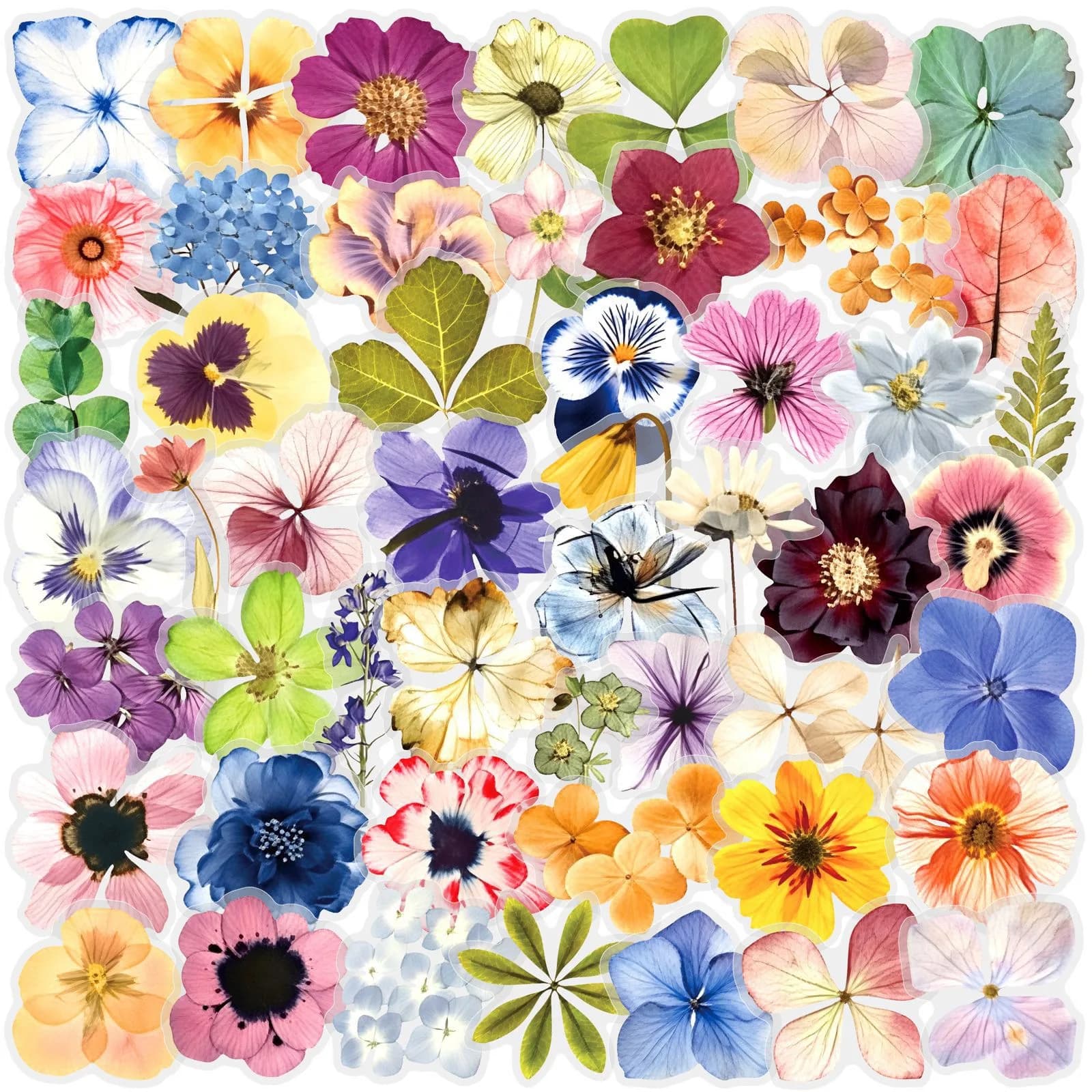 Confezione da 50 Adesivi Floreali Colorati, Impermeabili, in PET Trasparente, Materiale Decorativo per Brochure e Quaderni
