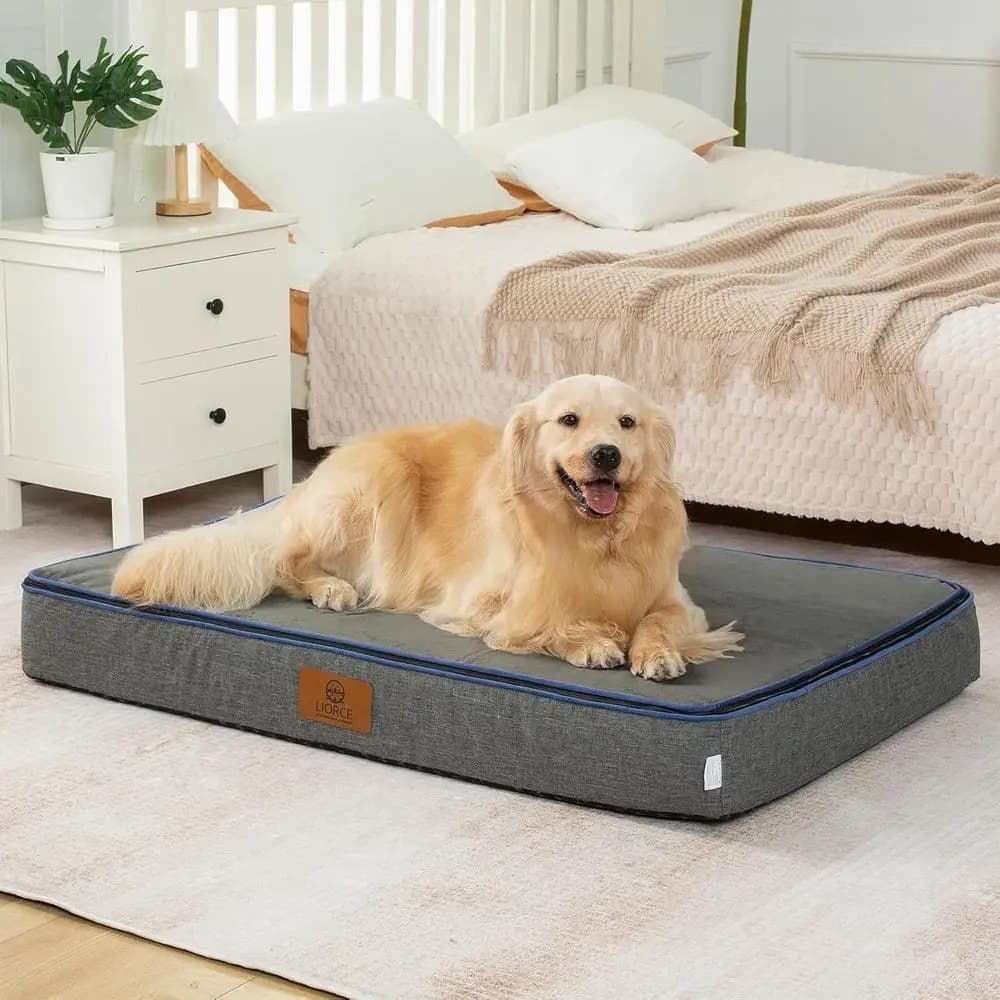 Cuccia Ortopedica XXL per Cani - 6 Strati di Memory Foam, Rivestimento Impermeabile Rimovibile, Grigio