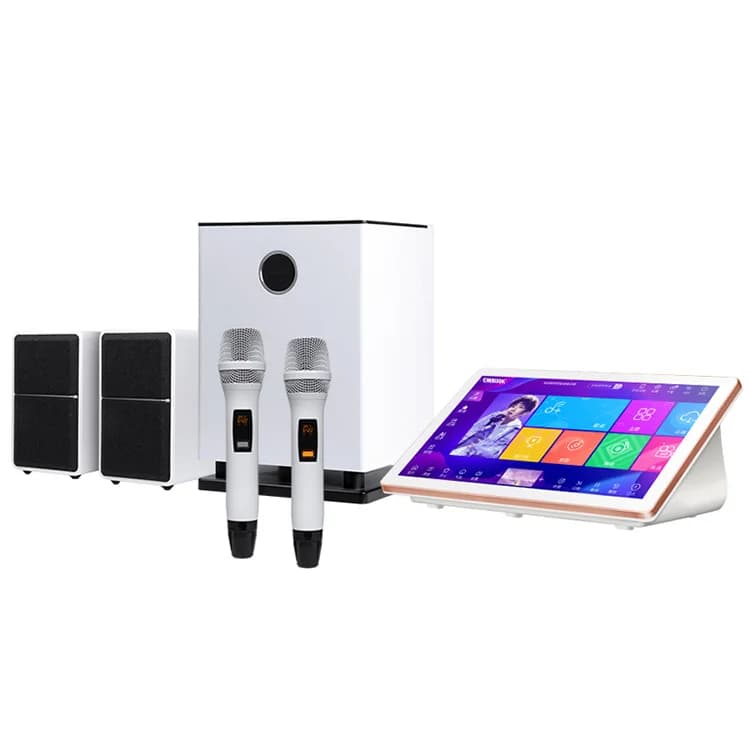18.5inch Audio Subwoofer Family Karaoke Machine Home Speaker Full Set Equipment For Song Playback