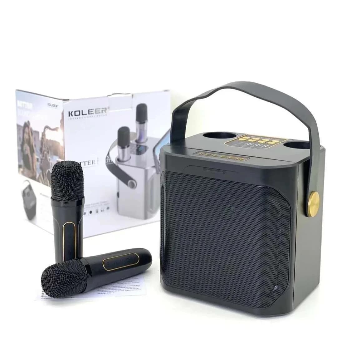 Potente Altoparlante Karaoke Bluetooth Wireless con Subwoofer Portatile e Microfono, Cassa Acustica ad Alta Potenza