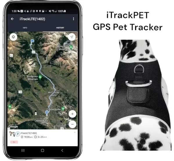 Collare GPS Wireless per Cani da Caccia, Monitoraggio della Posizione in Tempo Reale, Taglia M