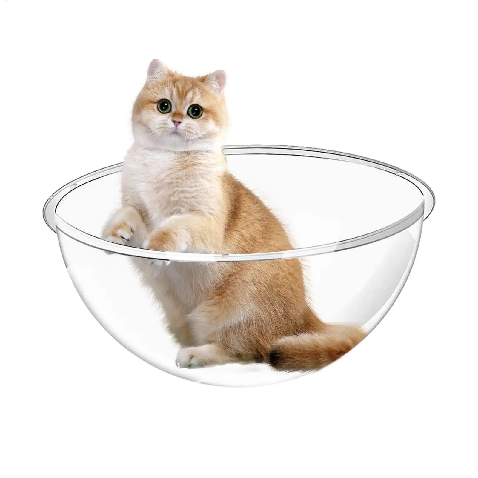 Acrylic Dome Cat Bed High Transparency Cat Clear Bed Indoor Cat Climbing Frame Odorless For Animals House Balcony
