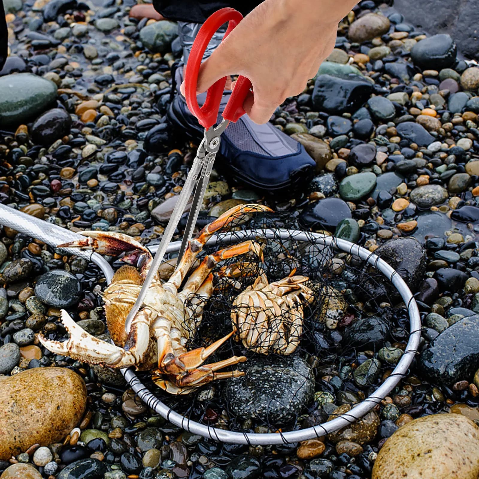 Pinze Robuste in Silicone Senza Punte a Forma di Forbice per Granchi, Pesci, Anguille, Polpi, Calamari - Strumento da Pesca per Esterni a Lunga Portata