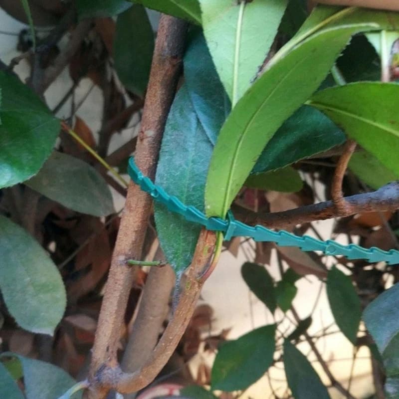 13CM Gardening Plant Ties Outdoor Plastic Cable Ties For Secure Plant Support A2BB