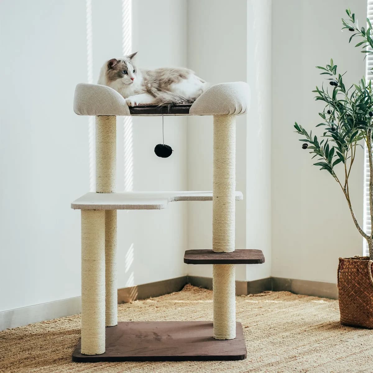 Torre per Gatti da Interno in Legno, Accessori per Arrampicata, Tiragraffi, Rascador De Gatos, Articoli per Animali Domestici