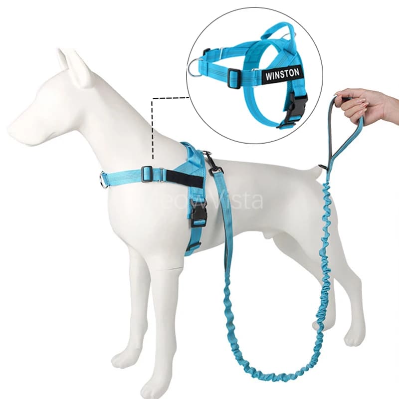 Custom Name No Pull Dog Harness Elastic Buffer Leash Set Adjustable Reflective Nylon Walking Lead for Small Medium Large Dogs
