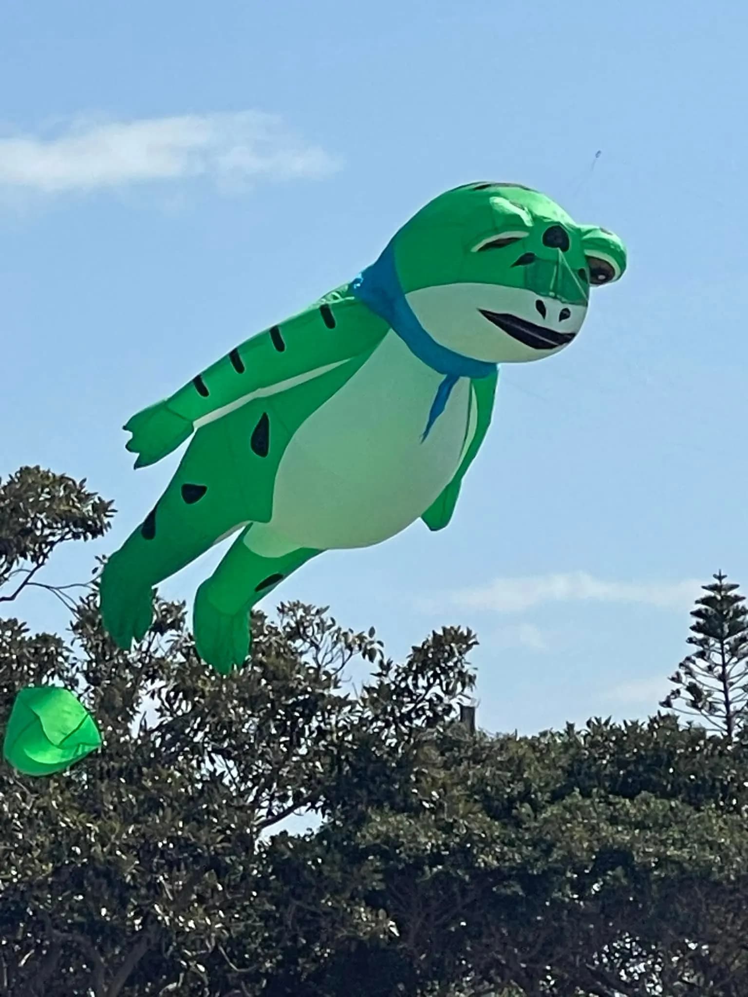 9KM 5m Shape Inflatable Rana Balloon for Adults, High Quality, Soft, Outer, With Bag Included