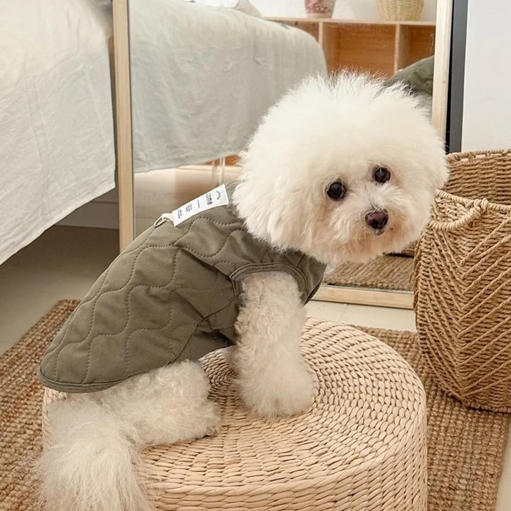 New Thick Warm Winter Pet Dog Vest Cotton with D-ring Pet Jacket Pet Costume Solid Color Puppy Coat for Small Medium Pet
