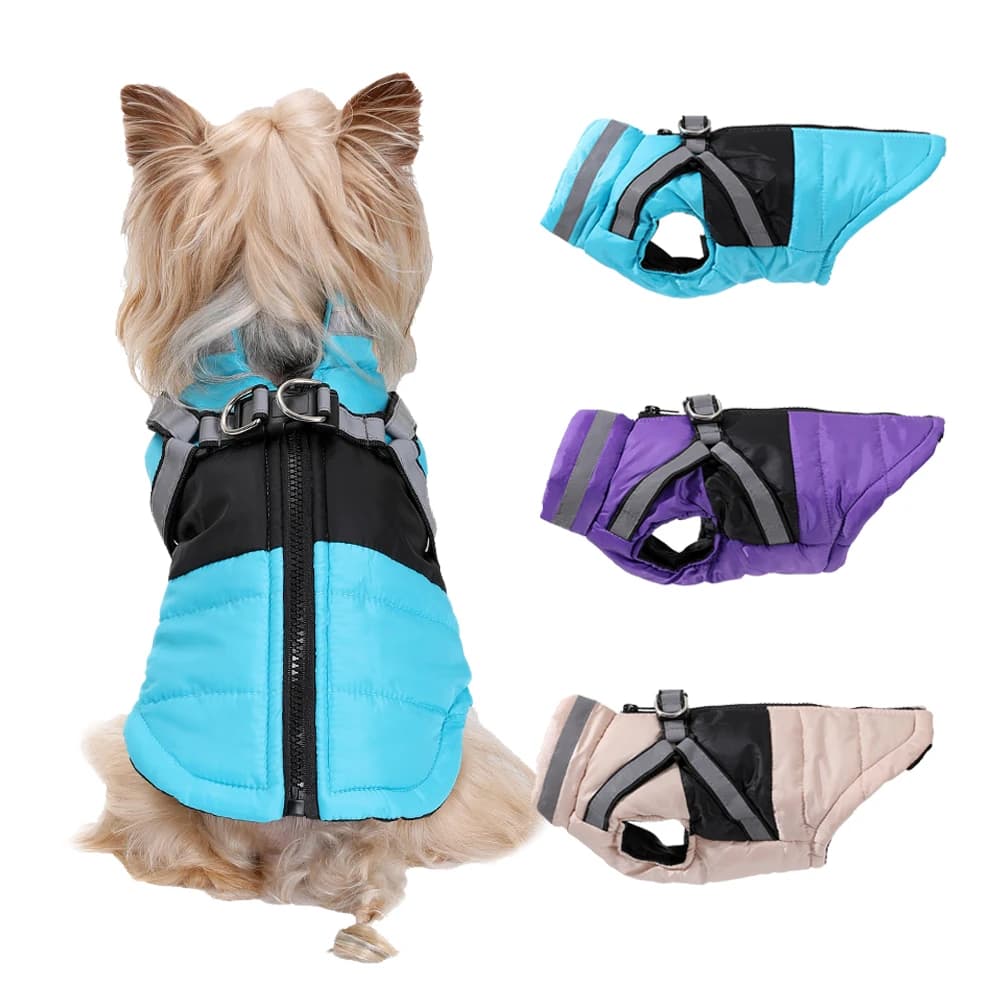 Vestiti invernali per cani da compagnia Giacca impermeabile riflettente per cuccioli con imbracatura per cani di piccola taglia media Gilet per gatti Cappotto Tute per chihuahua