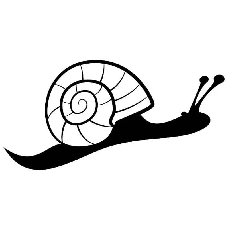 Cute interesting snail sticker for auto body shop and outdoor motorcycle waterproof and sun protection vinyl decals for cars, 16cm * 8cm