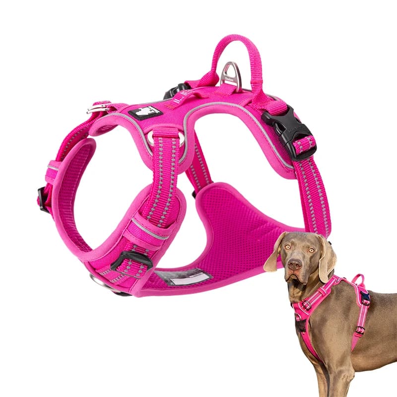 Winhyet gilet per cani da addestramento Pet Reflectiv leggero imbottitura in Nylon pettorina per cani indumenti protettivi per piccoli Meduim Large