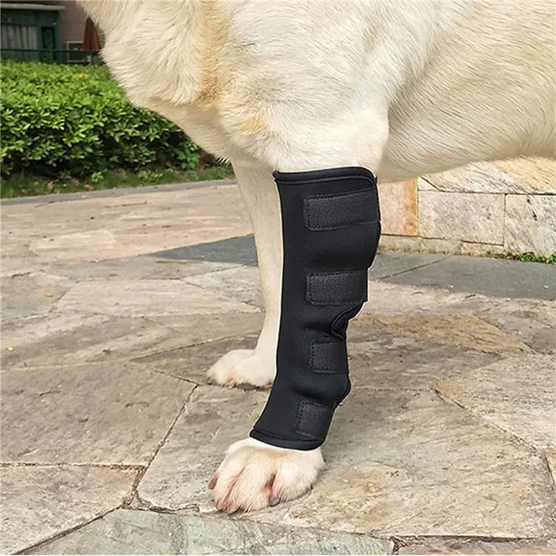 Pet Protection Dog Leg Protector Large Dog Knee Protection Elbow Protection Magic Benda Fixed Anti-Slapping Benda NEW