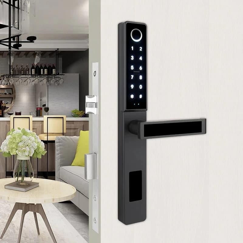 Serratura Intelligente con Impronta Digitale TTlock, WiFi, Maniglia Digitale, Serratura Elettrica Regolare, Tastierino Interno, Serratura Smart per Porta