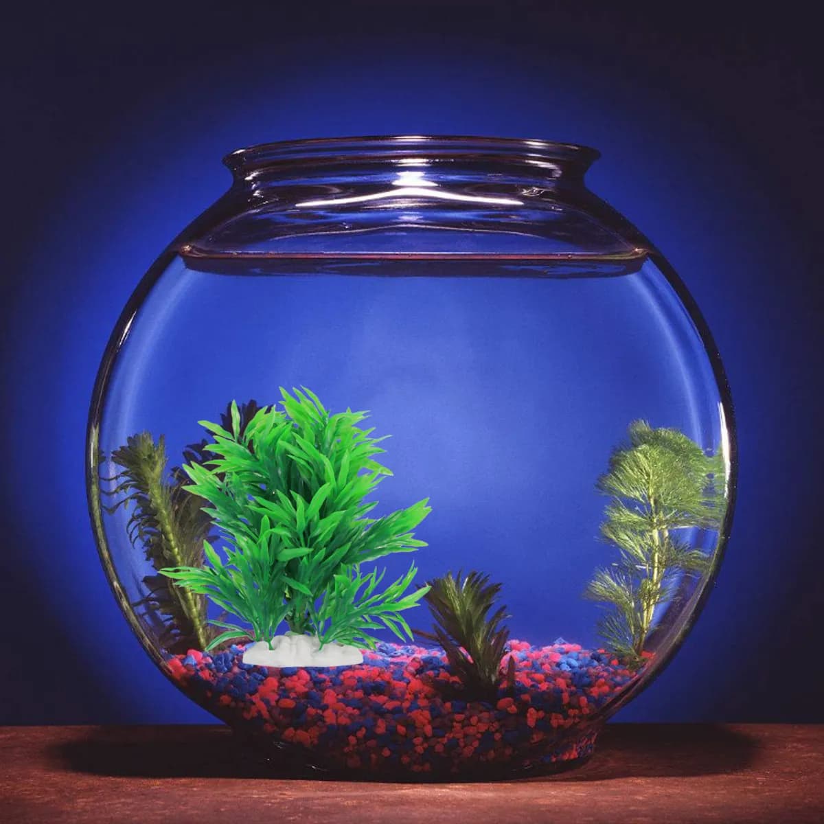 Decorazione per Acquario in Erba Artificiale Verde 20x14cm, Pianta in Plastica a Foglia Lunga per Acquari d'Acqua Dolce e Salata, Base in Ceramica