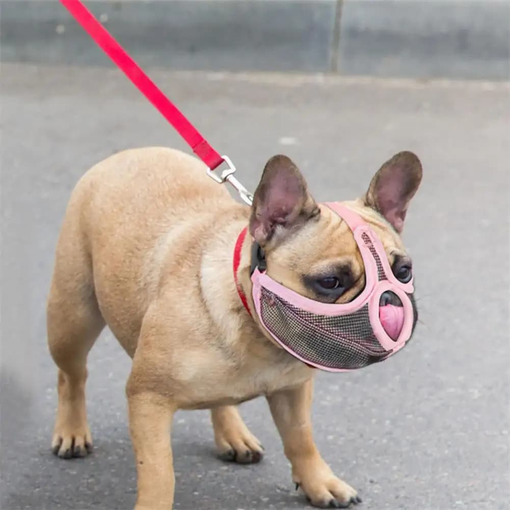 Fibbia per museruola per cani in rete traspirante, rete di nylon professionale, maschera per bocca corta per bulldog francese, anti smarrimento