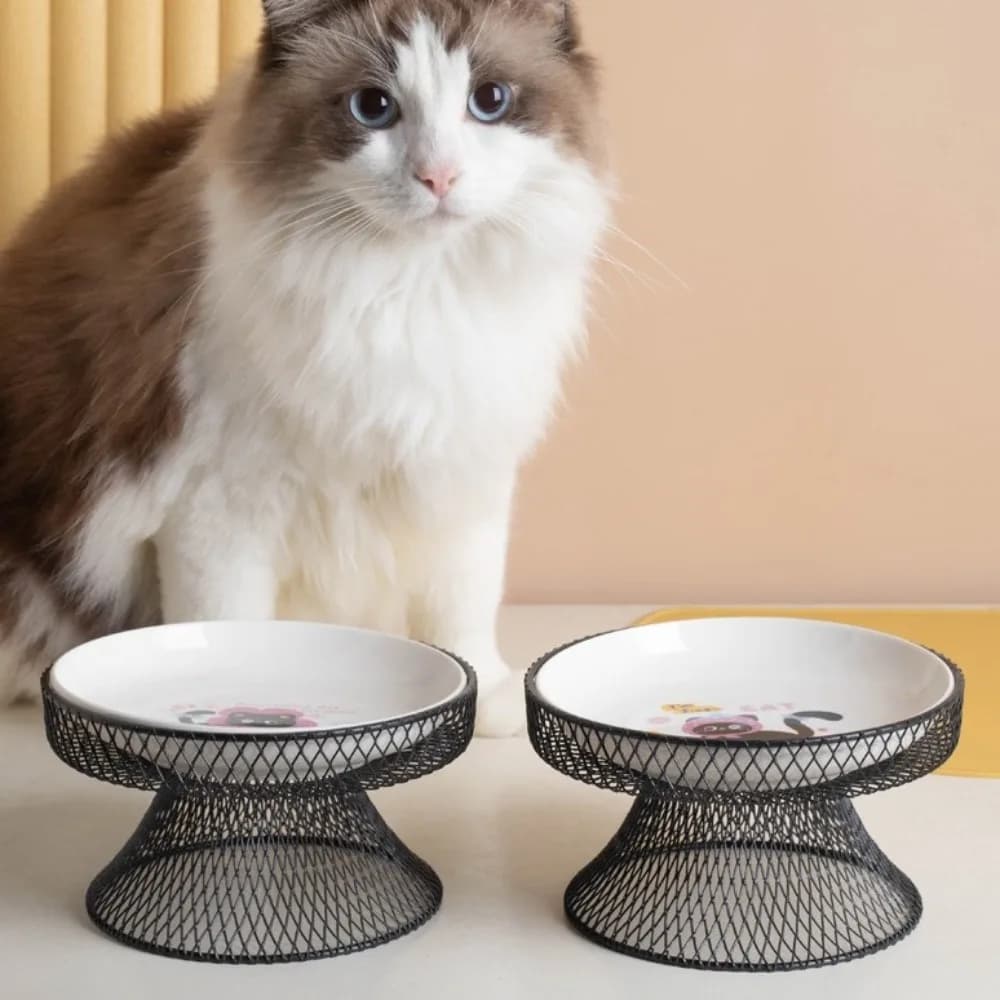 Cartoon Style Non-Slip Elevated Pet Bowl Large Capacity No Spill Ceramic Cat Bowl with Stand Pet Feeder Wet And Dry Food