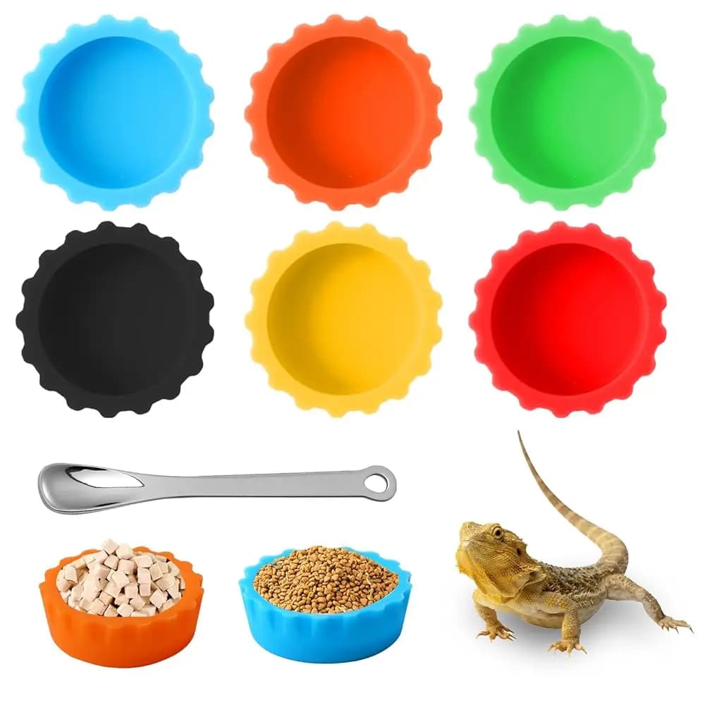 Set di 6 Ciotole per Cibo e Acqua per Geco Crestato con 1 Cucchiaio, Contenitori per Alimentazione di Rettili, Isopodi e Piccoli Animali, Facili da Pulire in Silicone