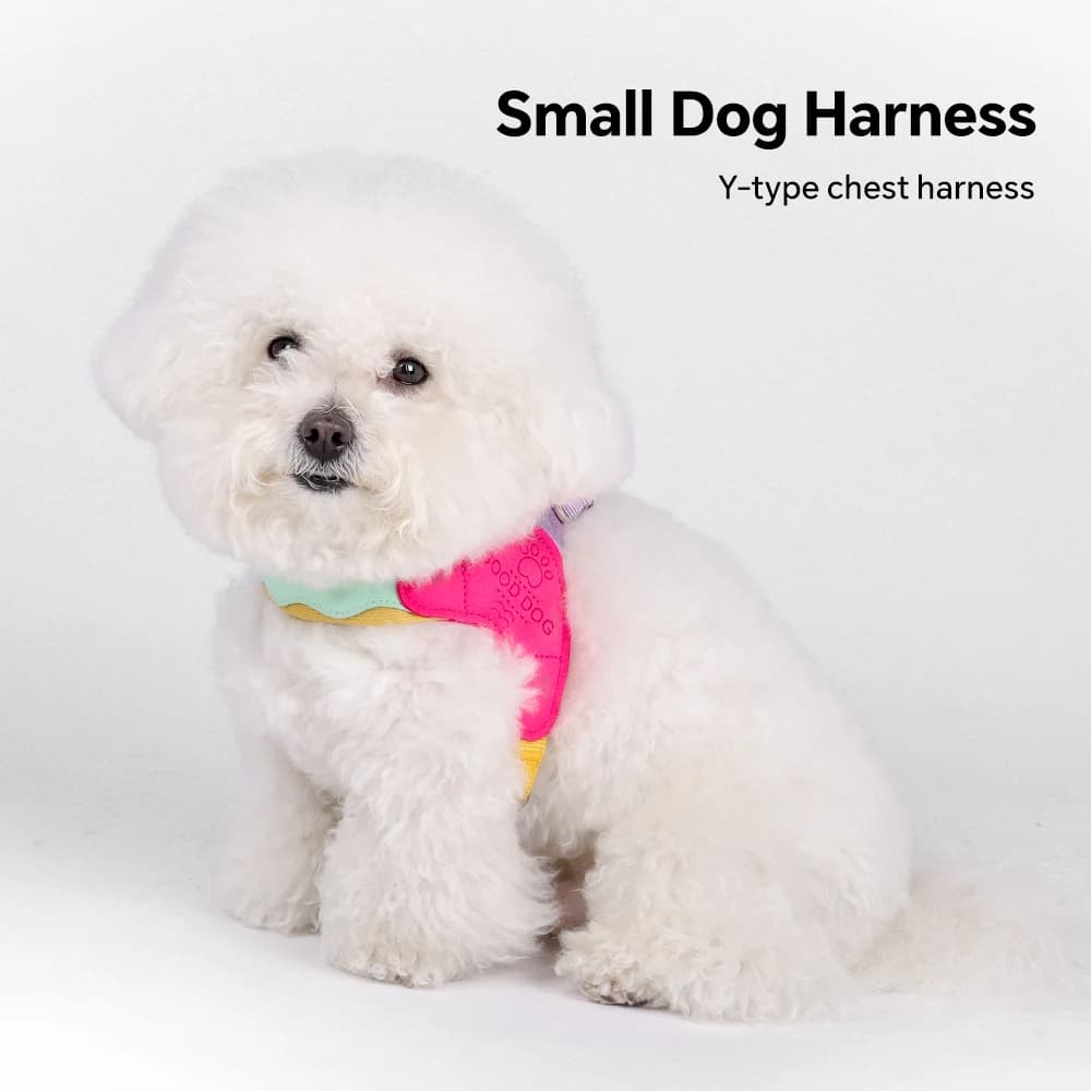 F5999 Dopamine-Inspired Vibrant Dog Harness: Saddle-Style, Comfortable & Breathable for Small to Medium Breeds
