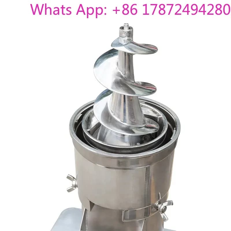 Estrattore di Succo a Lenta Estrazione in Acciaio Inox, Frullatore ad Alte Prestazioni per Uso Commerciale