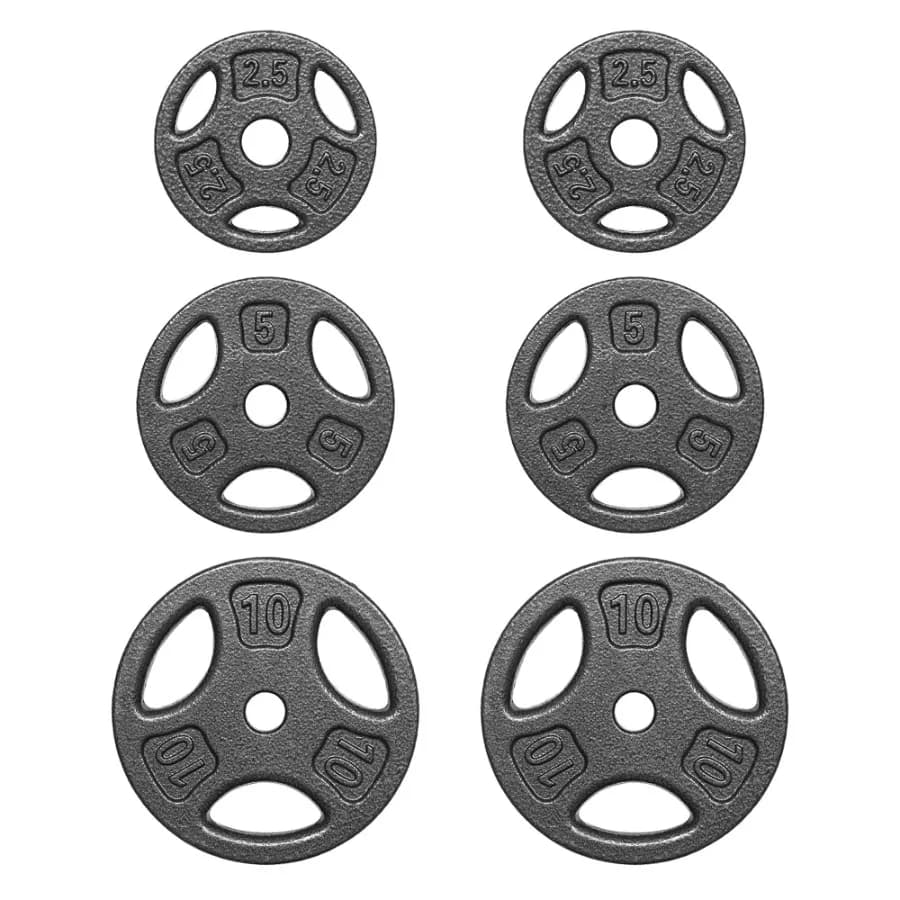 35LB Cast Iron Bearing Set, 2 Pieces 2.5, 5 and 10LB with 1 Inch Holes, Suitable for Standard Size Bars