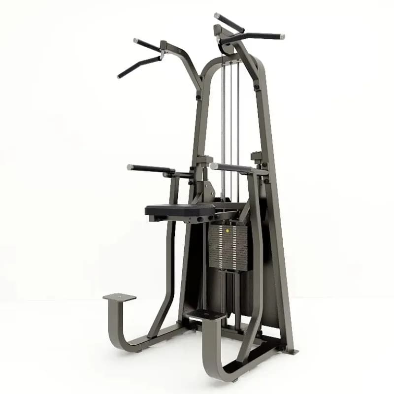 Hot selling pull-up bar and dive station Force machine Loaded equipment with pin Robust construction for professional gym workout model