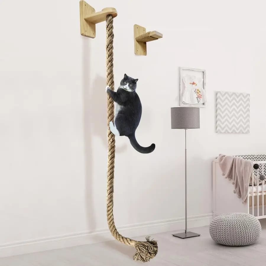 Tiragraffi per Gatti All-Mounted con Corda da Arrampicata, Scala Grande e Piattaforma di Riposo – Promuove Abitudini Sane