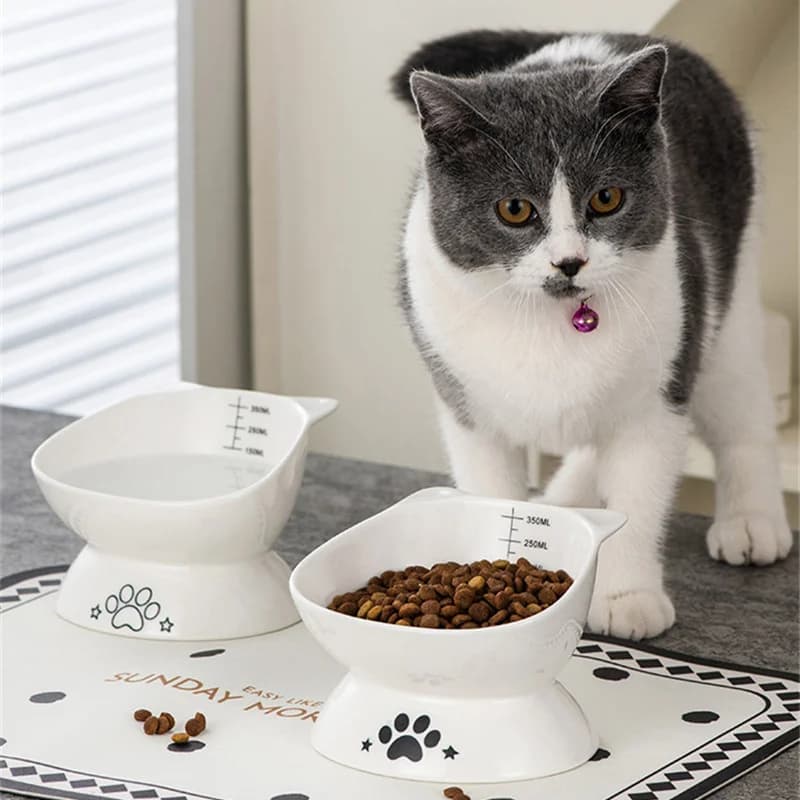 Ciotola per Gatti in Ceramica con Design a Impronta di Zampa, Bocca Obliqua per Proteggere le Vertebre Cervicali, Mangiatoia e Abbeveratoio per Animali Domestici