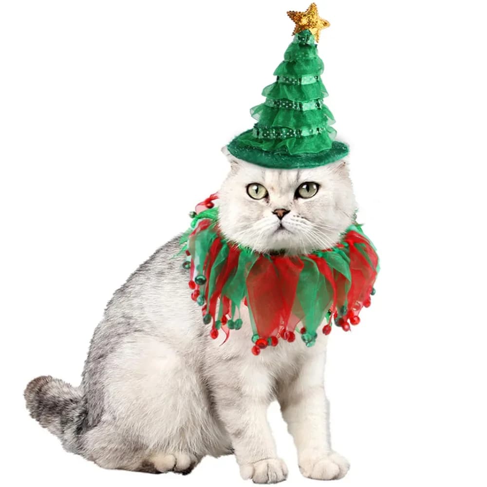Confezione da 2 cappelli per albero di Natale per gatti e cani e collare rosso verde Bavaglino per cuccioli Mantello natalizio per animali domestici Costume da vacanza con bavaglino per cuccioli