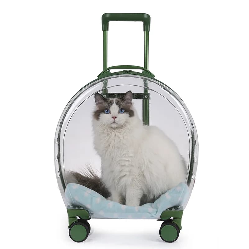 Trasportino per gatti con adesivi e tappetini Respiro libero Trasportino per cani da viaggio Trolley per gatti Carrello per animali con ruote
