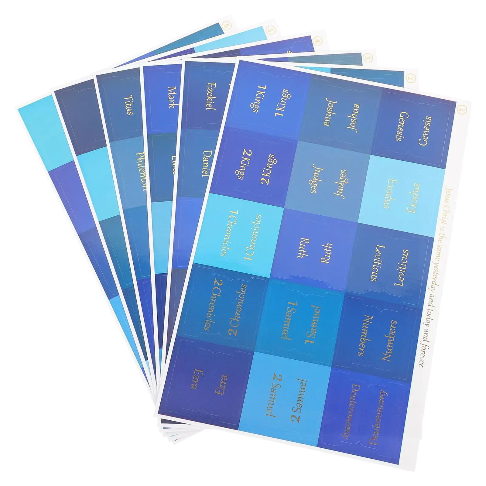 6 fogli adesivi pianificatore blu schede mensili per etichette indice pagina di libro adesivi pianificatore mensile schede blocco note mini schede calendario