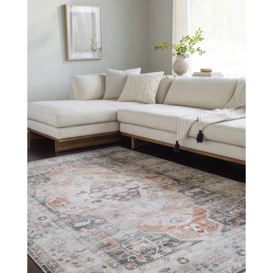 Washable Rugs for Living Room 3x4 Lavable Traditional Dusty Rose Area Rug Bedroom Dining Room Home Decor Stain Resistant Carpet